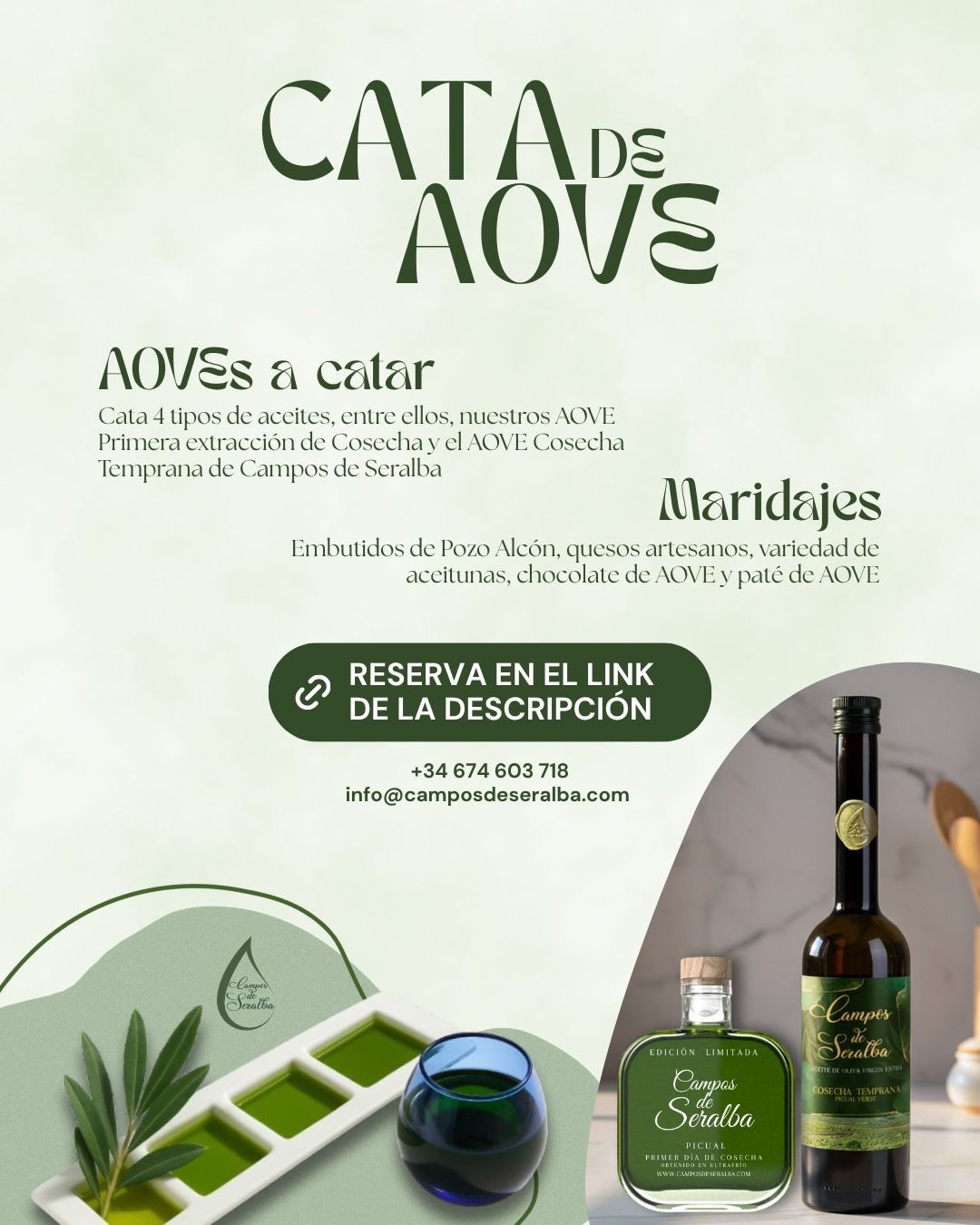 Cata AOVE - Experiencia Oleoturismo - Imagen 2